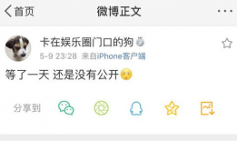 爆料吃瓜事实大爆炸视频,视频爆料背后的真相与争议