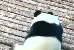 挠痒痒搞笑视频,笑出腹肌的欢乐瞬间